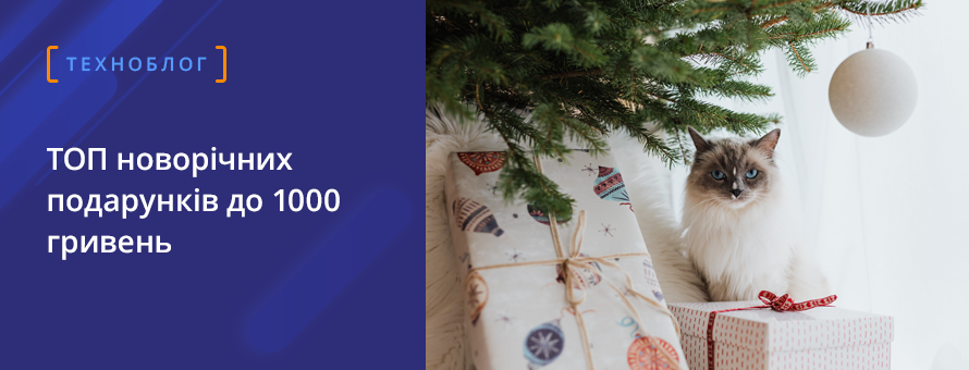 ТОП новорічних подарунків до 1000 гривень