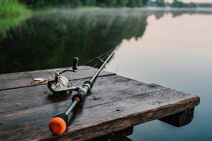 1080x900 1047470 fish-new.jpg t_news