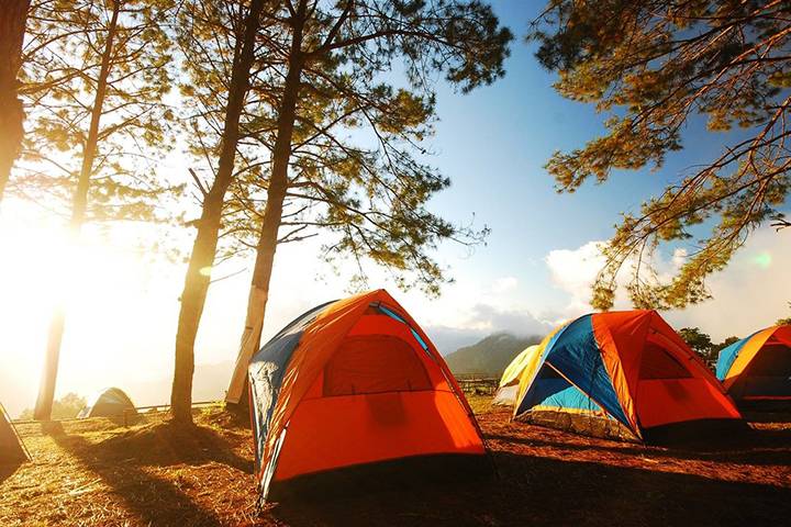 1080x900 863495 camping.jpg t_news