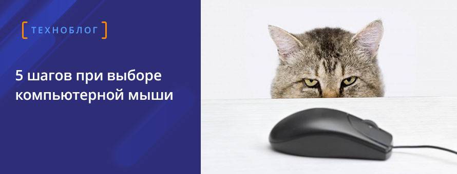 Как выбрать компьютерную мышку?